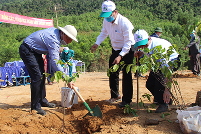 Khánh Hoà: Phát động Tết trồng cây và Chương trình trồng mới 1 tỷ cây xanh giai đoạn 2021-2025