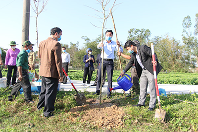 Hội Nông dân TP Đà Nẵng: Trồng hơn 5000 cây xanh hưởng ứng “Tết trồng cây đầu năm 2021”