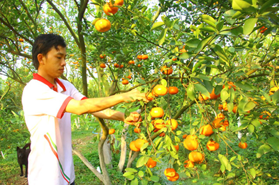 Chàng trai thích làm du lịch sinh thái