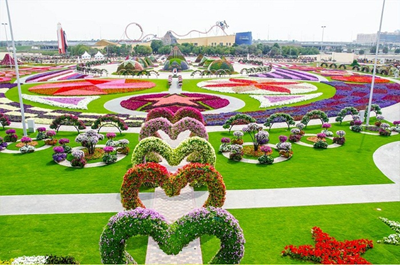 Vườn hoa Dubai Miracle Garden – thiên đường hoa giữa thung lũng sa mạc