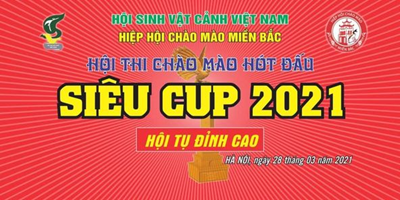 Hội thi Chim Chào mào hót đấu - Siêu cúp 2021