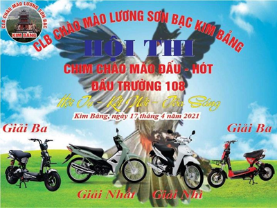 CLB Chào mào Lương Sơn Bạc - Kim Bảng tổ chức Hội thi Chim Chào mào hót đấu