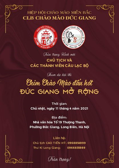 CLB Chào mào Đức Giang: Hội thi Chim Chào mào đấu hót mở rộng 2021