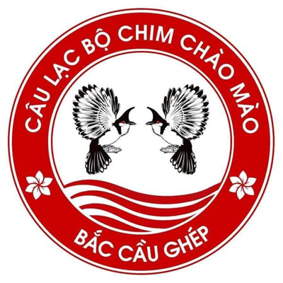 CLB Chào mào Bắc Cầu ghép: Hội thi đấu hót chim chào mào lần 2 - 2021