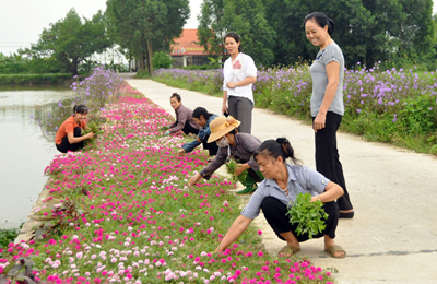 Làm sạch môi trường nông thôn