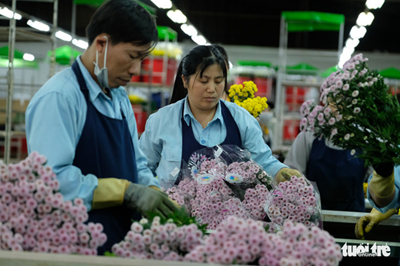 Xây dựng trung tâm giao dịch hoa Đà Lạt