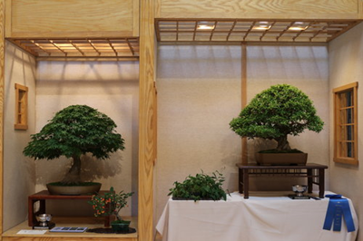 Triển lãm Bonsai Trung Mỹ thường niên lần thứ 43 