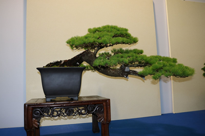 Quan điểm đánh giá tác phẩm thi Bonsai