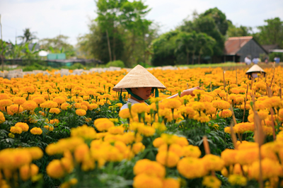 Làng hoa Sa-Đéc  -  làng hoa lớn nhất Miền Tây