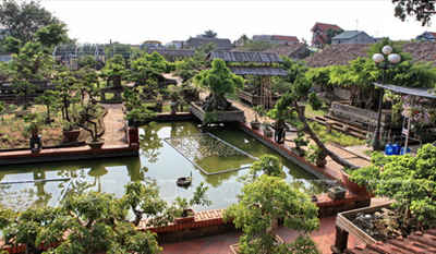 Hồng Vân - khai thác, phát triển du lịch làng nghề, sinh vật cảnh