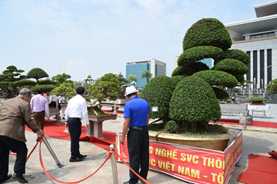 Triển lãm Sinh vật cảnh tỉnh Bắc Giang ngày 12 THÁNG 10 NĂM 2018