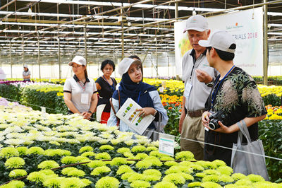 Dalat Hasfarm giới thiệu quy trình sản xuất hoa bền vững tại Flower Trials 2018