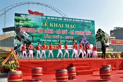 Khai mạc Festival Sinh vật cảnh, Đá quý, đá phong thủy Thanh Hóa lần thứ 3 năm 2019