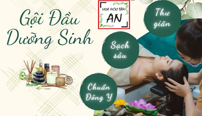 Khai trương Hoa Mộc Tâm An Long Biên – Spa Đông Y Dương Sinh