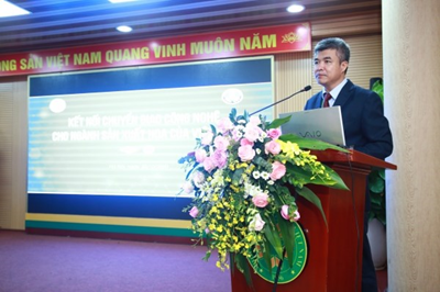 Thực trạng và giải pháp định hướng cho ngành sản xuất hoa, cây cảnh Việt Nam