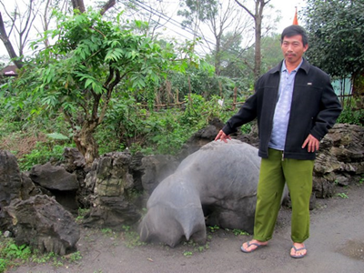 Nghề 'săn' đá cảnh