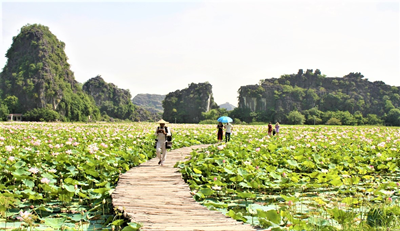 Phát triển du lịch nông thôn gắn với phát huy tiềm năng, lợi thế về nông nghiệp, làng nghề