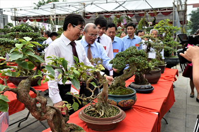 Triển lãm Sinh vật cảnh hướng về nguồn cội - Giỗ Tổ Hùng Vương tại Bảo tàng Hùng Vương