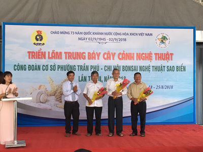 Bình Định triển lãm trưng bày cây cảnh nghệ thuật chào mừng Quốc khánh 2/9