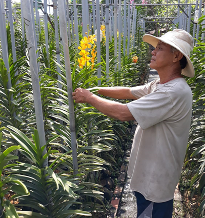 Thành công bắt đầu từ sở thích