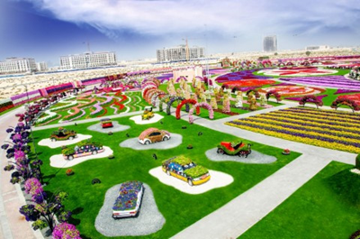 Công viên hoa Miracle Garden đầy màu sắc ở Dubai