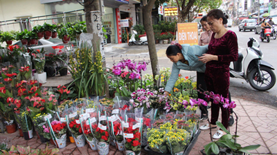 Thành phố Bắc Giang: Bố trí sắp xếp, quản lý 34 điểm bán hoa, cây cảnh dịp Tết Nguyên đán Tân Sửu năm 2021 trên địa bàn thành phố