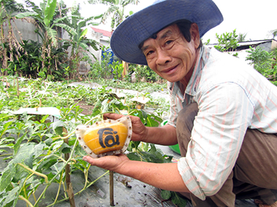 Cây cảnh, trái cây tạo hình vào mùa tết