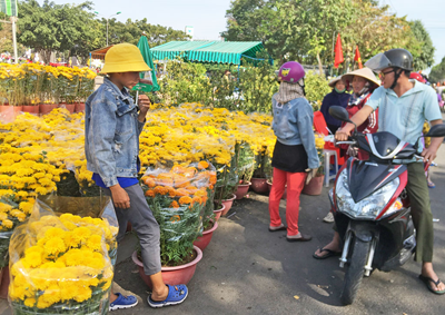 Sắp diễn ra Chợ Hoa xuân Tân An 2021