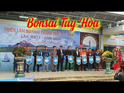 Triển lãm bonsai Tuy Hòa