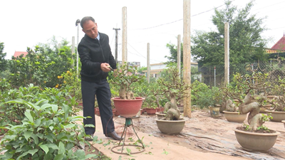 Xã Tân Lập làm giàu từ trồng hoa, cây cảnh