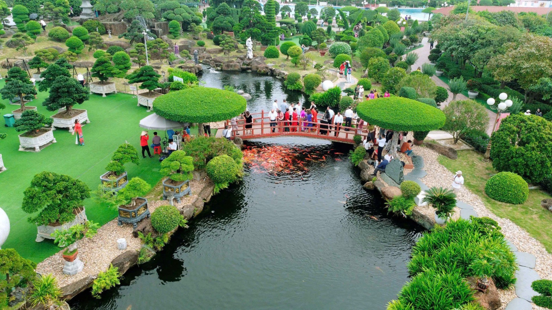 Sinh vật cảnh Việt Nam: Gắn kết thiên nhiên, văn hóa và kinh tế di sản trong kỷ nguyên mới