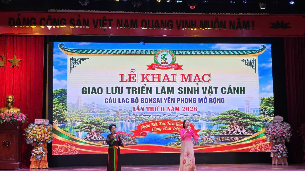 Xâm phạm quyền sở hữu trí tuệ đối với logo Hội Sinh vật cảnh Việt Nam: Nhận diện và giải pháp xử lý