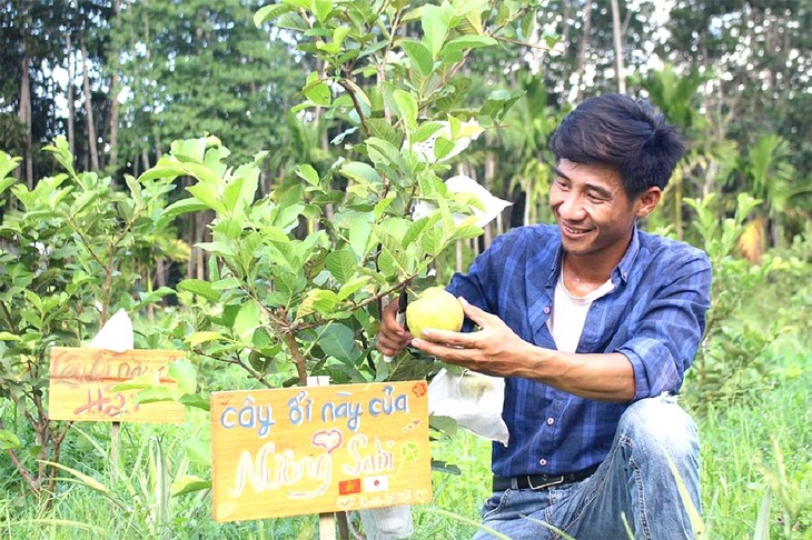 Chàng trai Huế sáng tạo mô hình "nhận nuôi cây vườn nhà", khách ở Nhật vẫn được hái trái từ xa