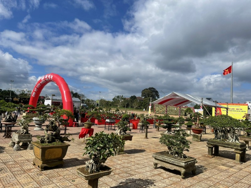 Phường Buôn Hồ - cánh chim đầu đàn của phong trào sinh vật cảnh tỉnh Đắk Lắk