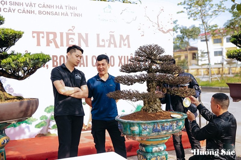 Nghệ thuật bonsai - Công phu từ gốc rễ đến hồn cây Nghệ thuật bonsai - Công phu từ gốc rễ đến hồn cây