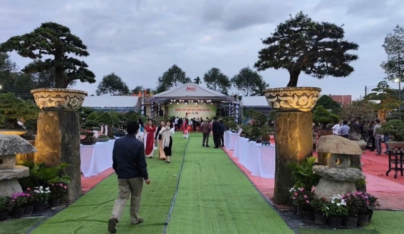 Ngắm các tác phẩm đá cảnh trong Triển lãm Sinh vật cảnh An Phú – Xuân 2026