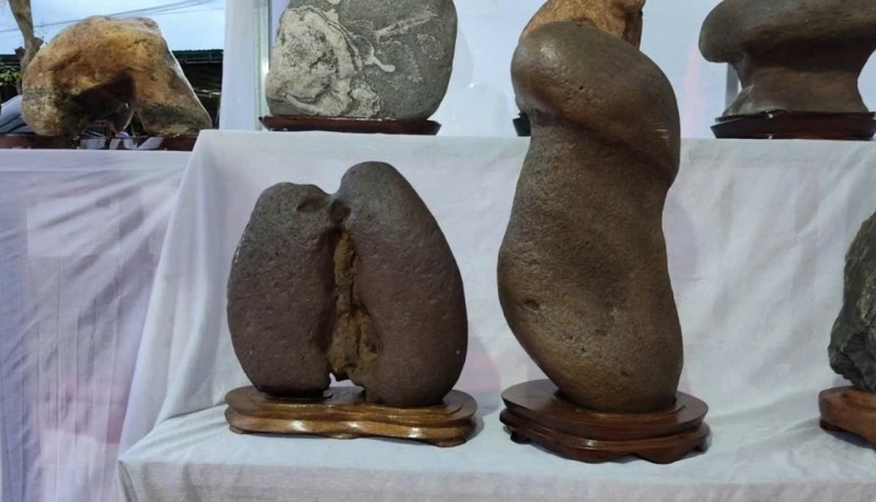 Ngắm các tác phẩm đá cảnh trong Triển lãm Sinh vật cảnh An Phú – Xuân 2026