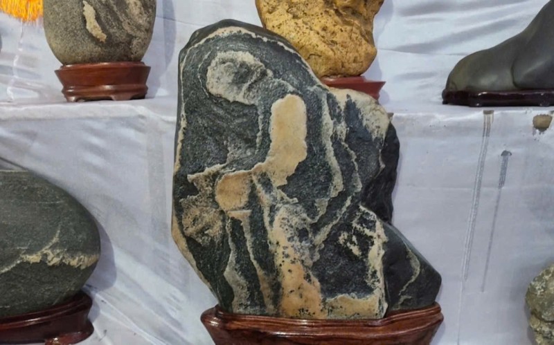 Ngắm các tác phẩm đá cảnh trong Triển lãm Sinh vật cảnh An Phú – Xuân 2026