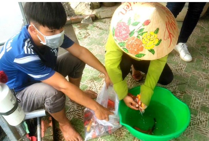 TP HCM: Ao cá chờ Tết, người nuôi chờ… thương lái