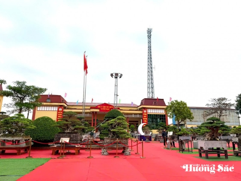 Hợp tác xã Cây cảnh Bách Thuận: Dấu ấn nghệ thuật tại Triển lãm Cây cảnh xã Tân Thuận Hợp tác xã Cây cảnh Bách Thuận: Dấu ấn nghệ thuật tại Triển lãm Cây cảnh xã Tân Thuận