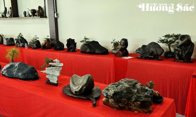 Đá cảnh Bảo Lộc: Từ phong trào tự phát đến hành trình chuyên nghiệp hóa Đá cảnh Bảo Lộc: Từ phong trào tự phát đến hành trình chuyên nghiệp hóa