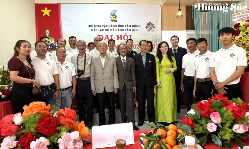 Đá cảnh Bảo Lộc: Từ phong trào tự phát đến hành trình chuyên nghiệp hóa Đá cảnh Bảo Lộc: Từ phong trào tự phát đến hành trình chuyên nghiệp hóa