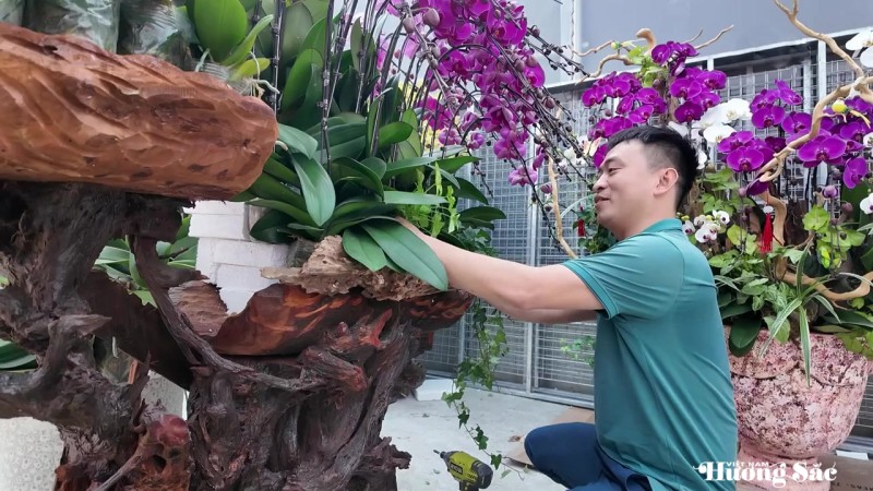 Lan ghép lũa gỗ ở Hà Tĩnh dịp Tết: Giá chục triệu vẫn bán chạy