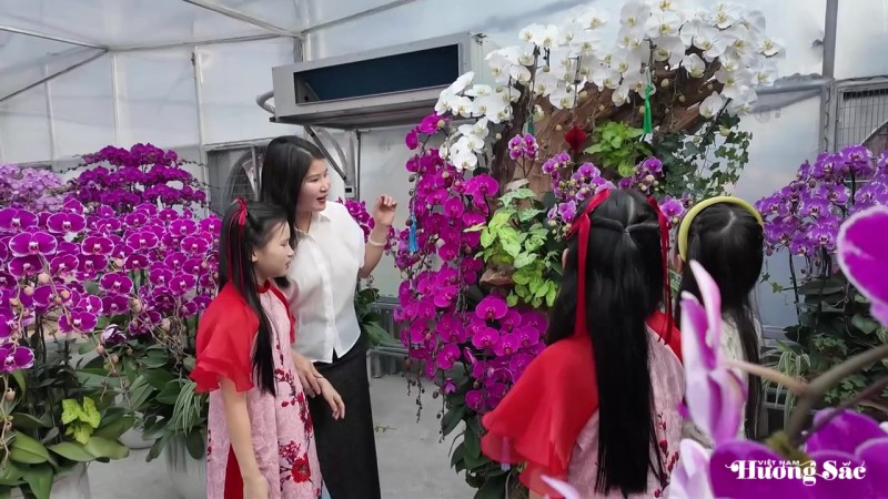 Lan ghép lũa gỗ ở Hà Tĩnh dịp Tết: Giá chục triệu vẫn bán chạy