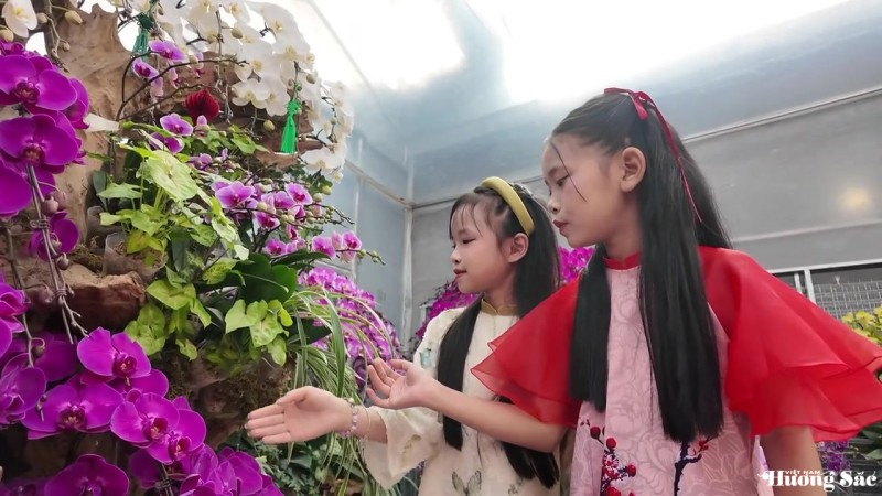 Lan ghép lũa gỗ ở Hà Tĩnh dịp Tết: Giá chục triệu vẫn bán chạy