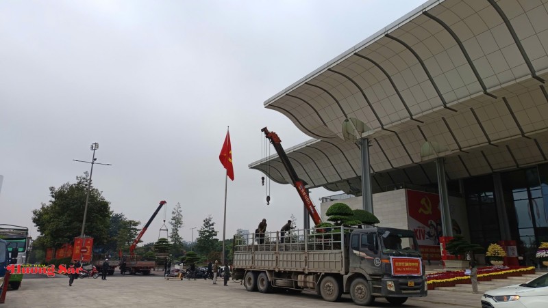 Bàn giao Cây cảnh nghệ thuật làm đẹp không gian Đại hội XIV