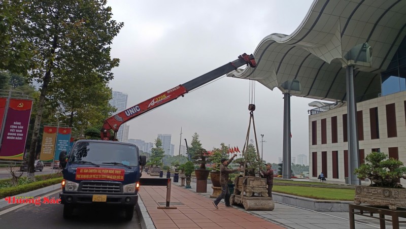 Bàn giao Cây cảnh nghệ thuật làm đẹp không gian Đại hội XIV