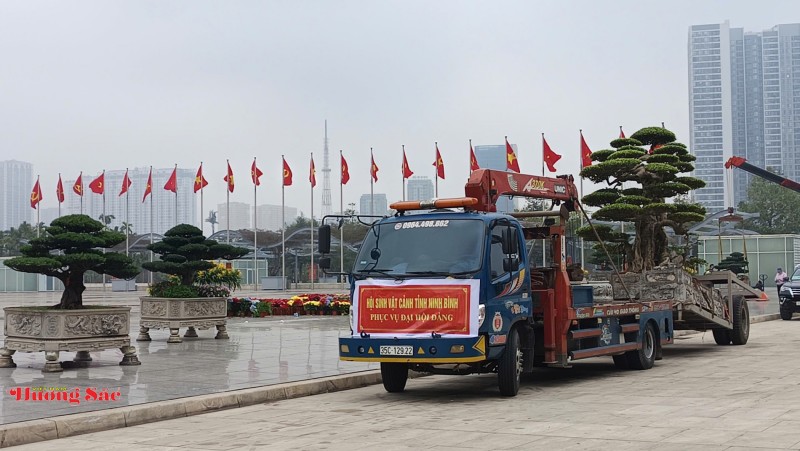 Bàn giao Cây cảnh nghệ thuật làm đẹp không gian Đại hội XIV