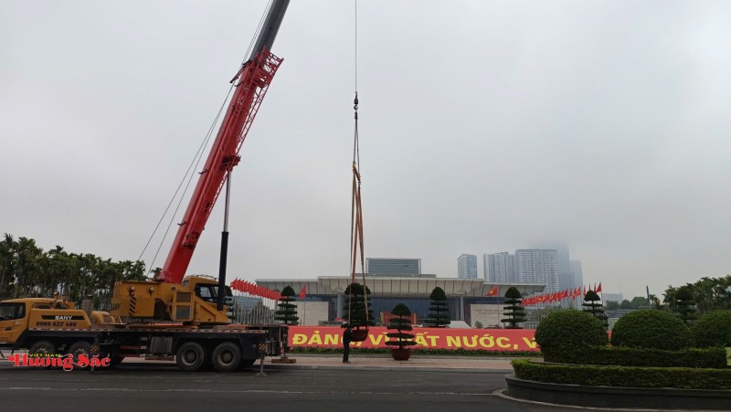 Bàn giao Cây cảnh nghệ thuật làm đẹp không gian Đại hội XIV