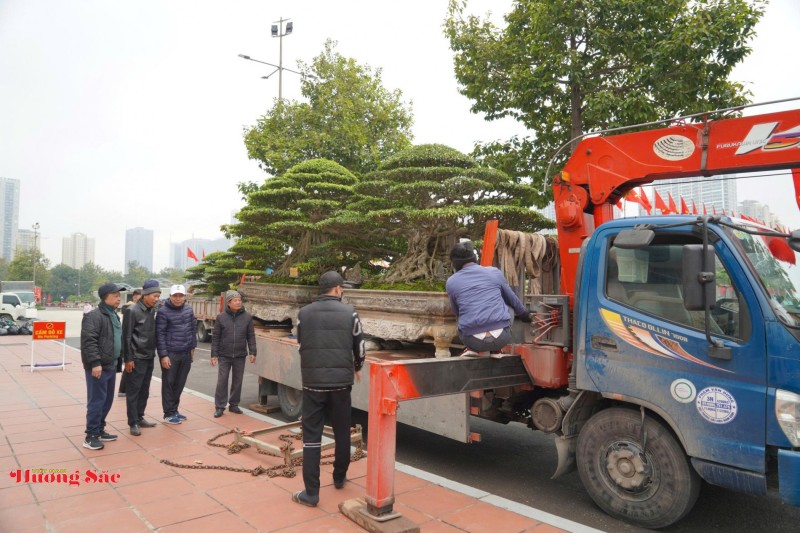 Bàn giao Cây cảnh nghệ thuật làm đẹp không gian Đại hội XIV